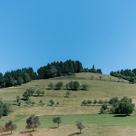 Moderne 2 Zi.-Fewo Blackforest Art Barrierefrei Naehe Freiburg Simonswald Zewnętrze zdjęcie
