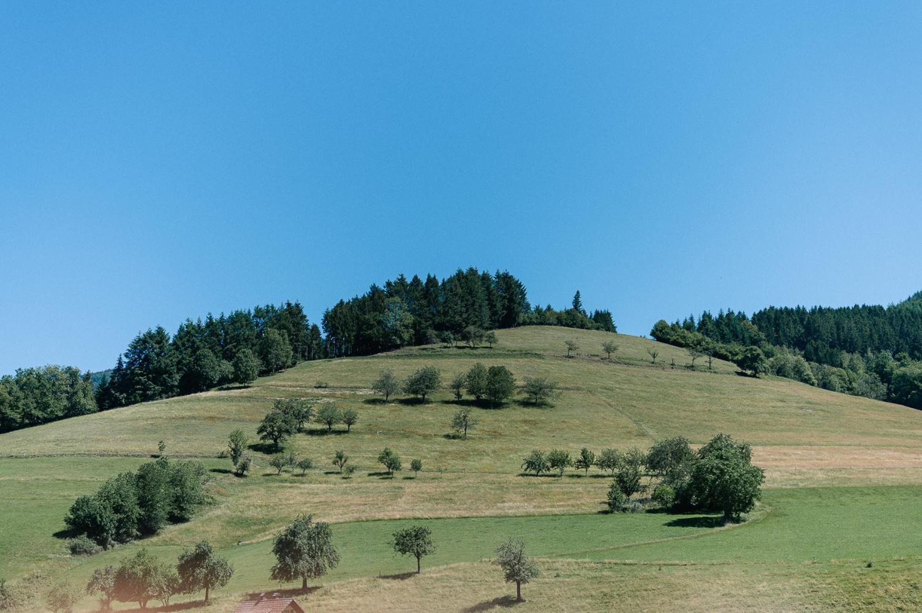 Moderne 2 Zi.-Fewo Blackforest Art Barrierefrei Naehe Freiburg Simonswald Zewnętrze zdjęcie