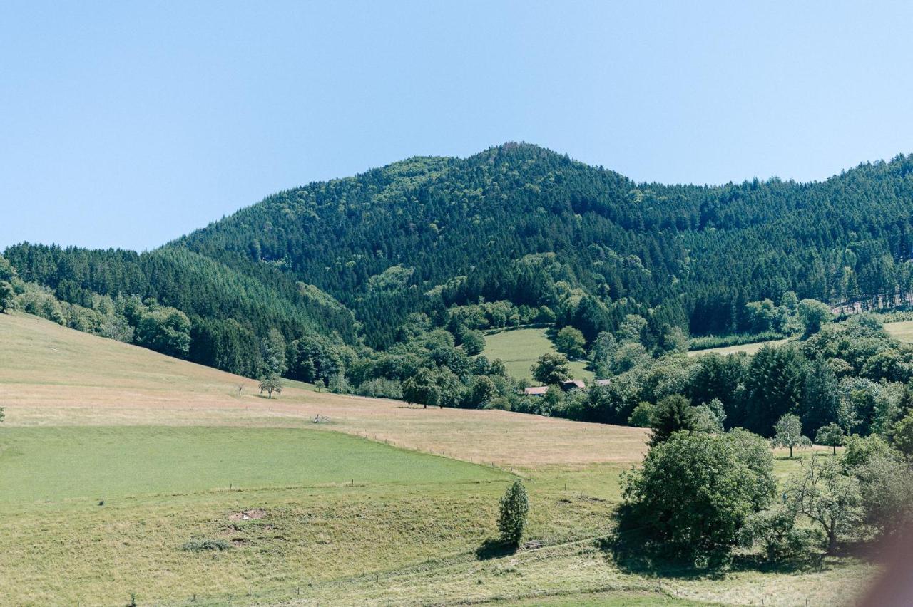 Moderne 2 Zi.-Fewo Blackforest Art Barrierefrei Naehe Freiburg Simonswald Zewnętrze zdjęcie